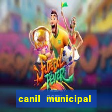 canil municipal porto alegre